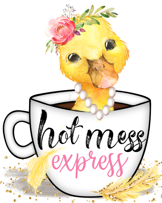 Hot Mess Express Funny Kitchen Towel