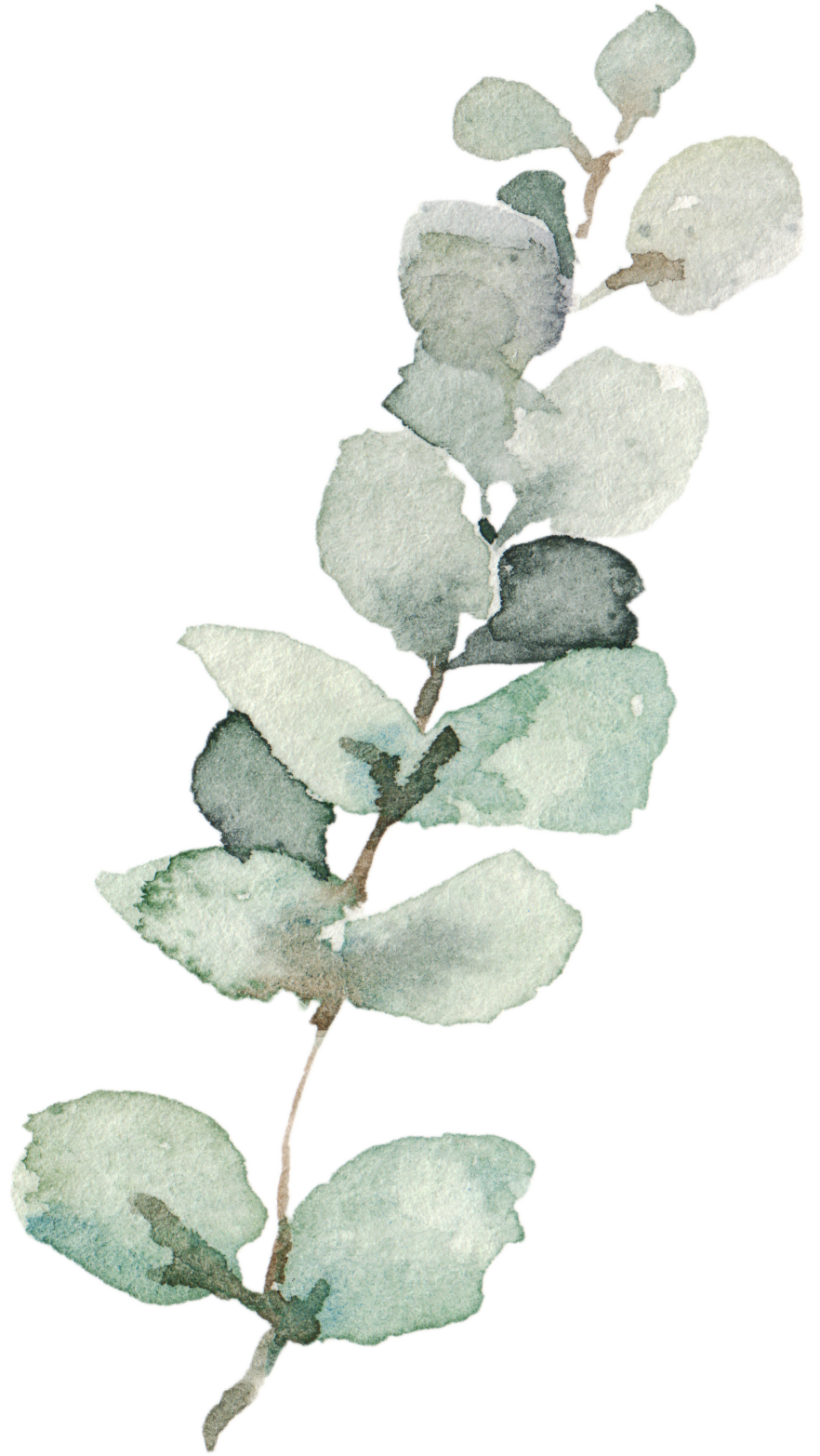 Subtle Eucalyptus, Soft Green Decor, Eucalyptus Decor, Eucalyptus Hand Towels