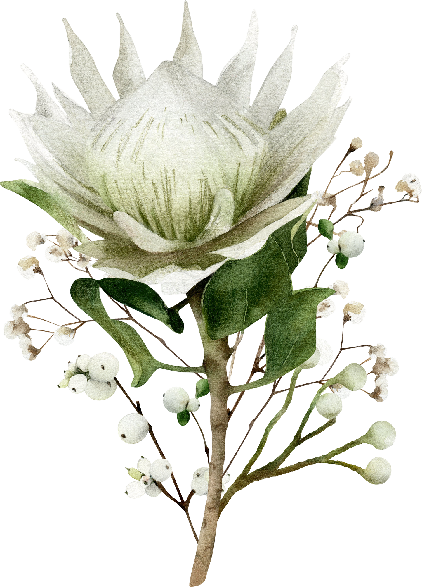 Winter Warmth Comes with Flowers; Botanical Towels, Flower Decor; BOHO Decorations