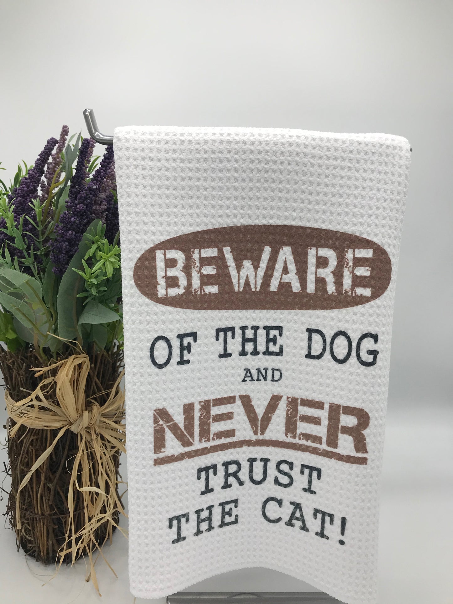 Beware of the Dog...Don't trust the Cat