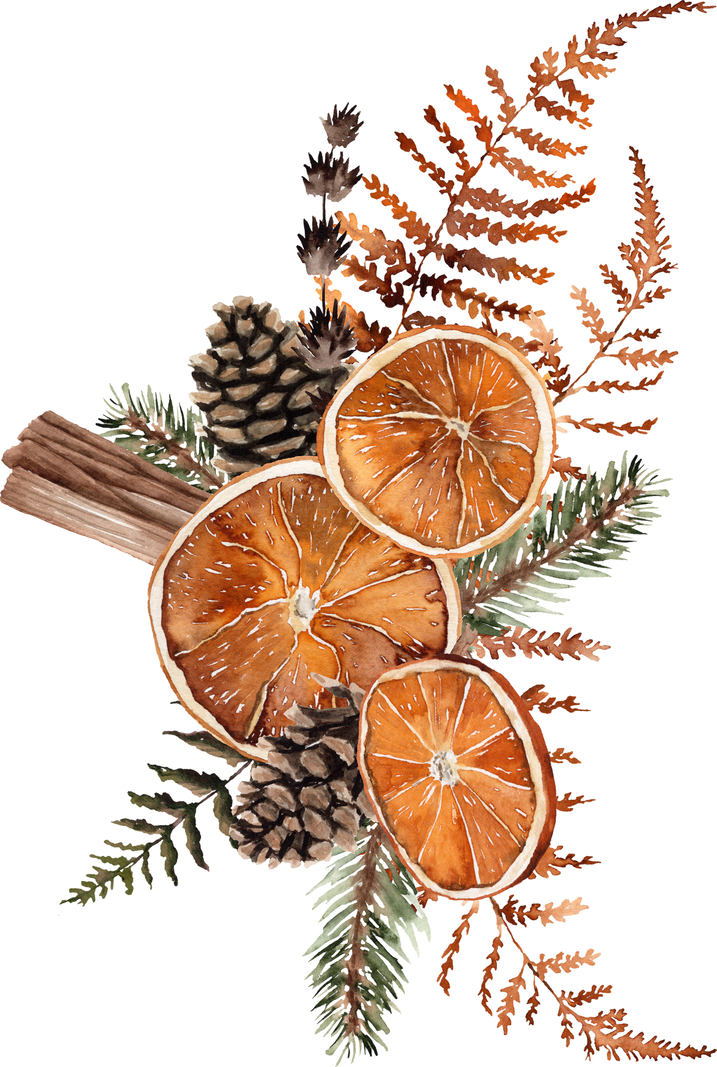 With BOHO Cinnamon and Oranges Comes Fall Tones, Pumpkin Spices, and Winter Warmth